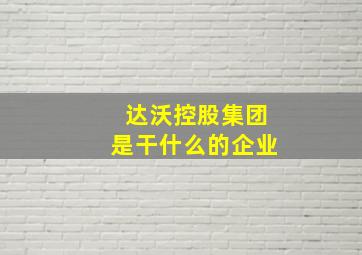 达沃控股集团是干什么的企业