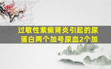 过敏性紫癜肾炎引起的尿蛋白两个加号尿血2个加