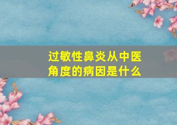 过敏性鼻炎从中医角度的病因是什么