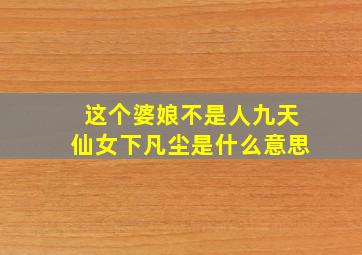 这个婆娘不是人九天仙女下凡尘是什么意思