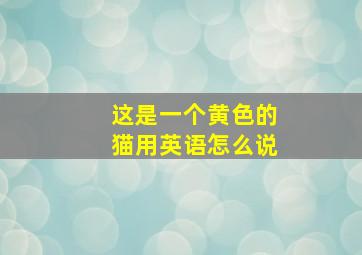 这是一个黄色的猫用英语怎么说