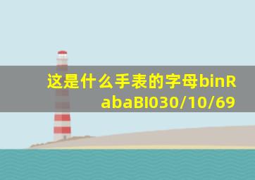 这是什么手表的字母binRabaBI030/10/69