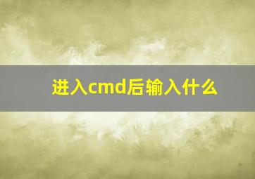 进入cmd后输入什么