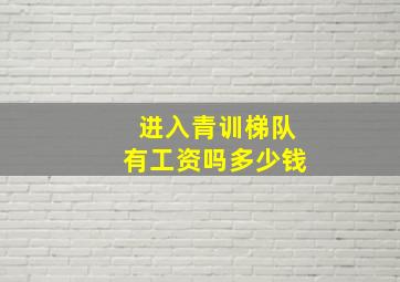 进入青训梯队有工资吗多少钱