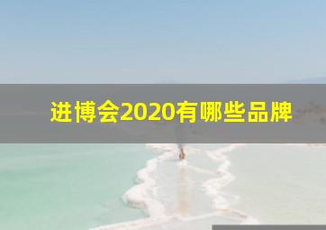 进博会2020有哪些品牌