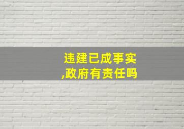 违建已成事实,政府有责任吗