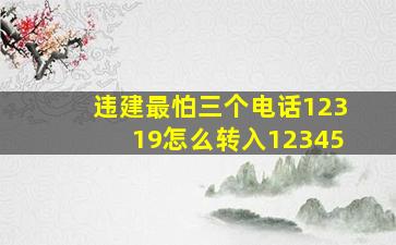 违建最怕三个电话12319怎么转入12345