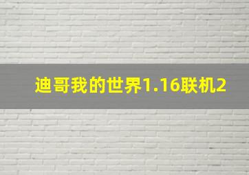 迪哥我的世界1.16联机2