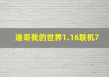 迪哥我的世界1.16联机7