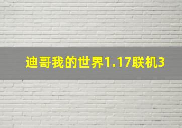 迪哥我的世界1.17联机3