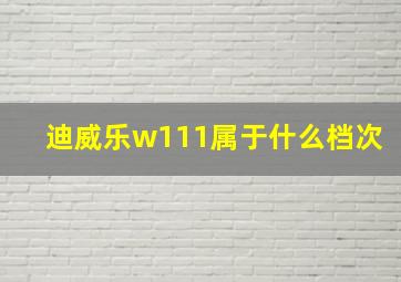 迪威乐w111属于什么档次