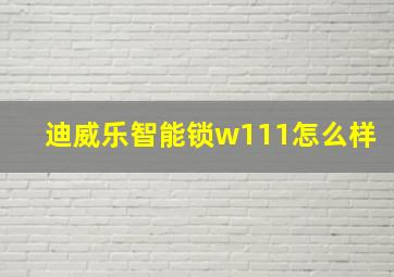 迪威乐智能锁w111怎么样