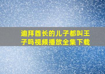 迪拜酋长的儿子都叫王子吗视频播放全集下载