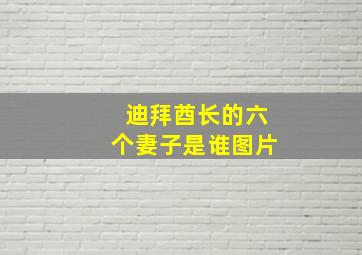 迪拜酋长的六个妻子是谁图片