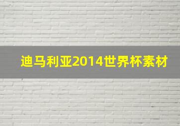 迪马利亚2014世界杯素材