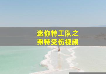 迷你特工队之弗特受伤视频