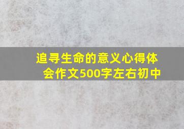 追寻生命的意义心得体会作文500字左右初中