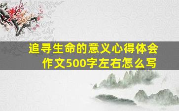 追寻生命的意义心得体会作文500字左右怎么写