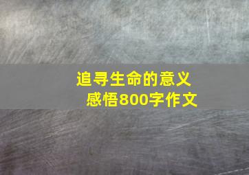 追寻生命的意义感悟800字作文