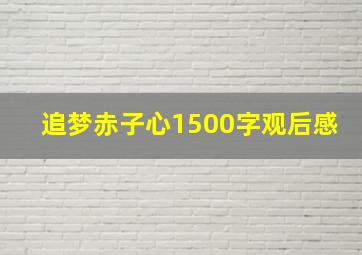 追梦赤子心1500字观后感