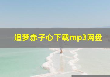 追梦赤子心下载mp3网盘