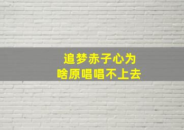 追梦赤子心为啥原唱唱不上去