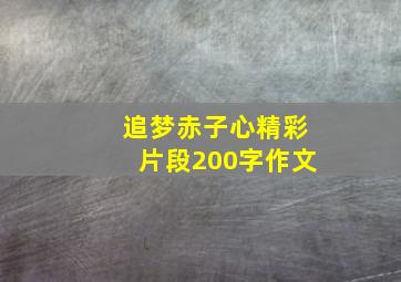 追梦赤子心精彩片段200字作文