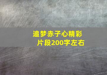 追梦赤子心精彩片段200字左右