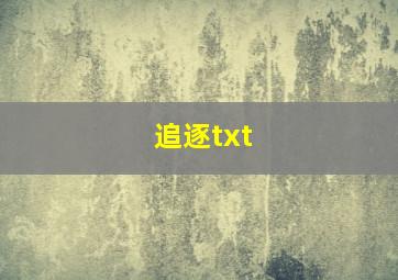 追逐txt