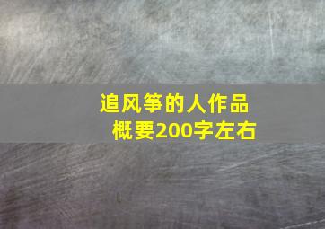 追风筝的人作品概要200字左右