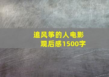 追风筝的人电影观后感1500字