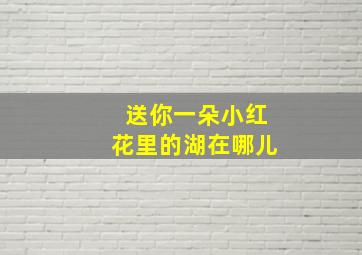 送你一朵小红花里的湖在哪儿