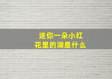 送你一朵小红花里的湖是什么