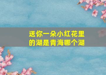 送你一朵小红花里的湖是青海哪个湖