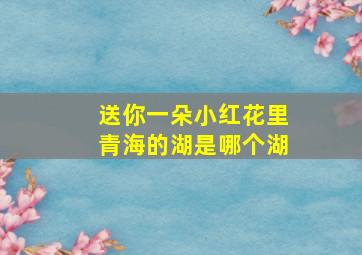 送你一朵小红花里青海的湖是哪个湖