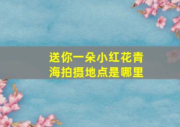 送你一朵小红花青海拍摄地点是哪里