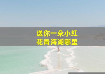 送你一朵小红花青海湖哪里