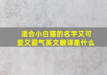 适合小白猫的名字又可爱又霸气英文翻译是什么