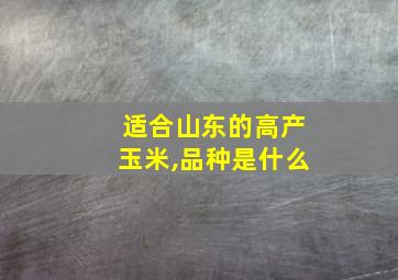 适合山东的高产玉米,品种是什么