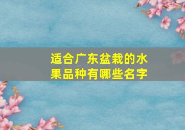 适合广东盆栽的水果品种有哪些名字