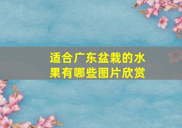 适合广东盆栽的水果有哪些图片欣赏