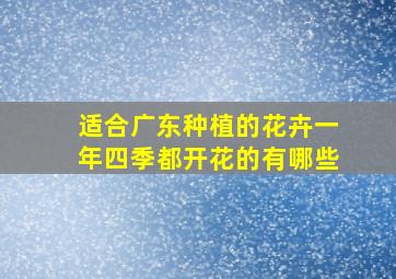 适合广东种植的花卉一年四季都开花的有哪些