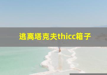 逃离塔克夫thicc箱子