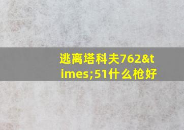 逃离塔科夫762×51什么枪好