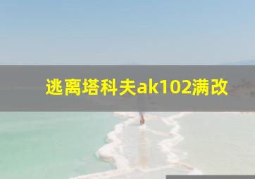 逃离塔科夫ak102满改