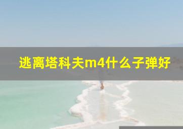 逃离塔科夫m4什么子弹好