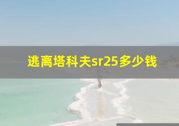 逃离塔科夫sr25多少钱