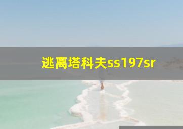 逃离塔科夫ss197sr