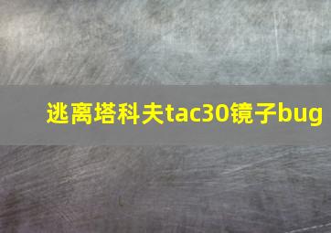 逃离塔科夫tac30镜子bug