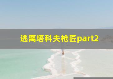 逃离塔科夫枪匠part2